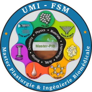 Master-pib